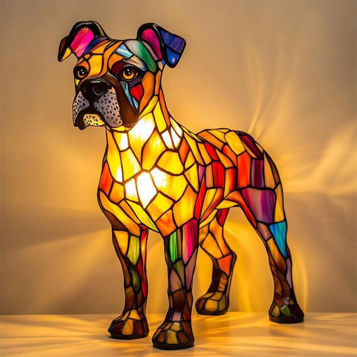 Apology Boxer